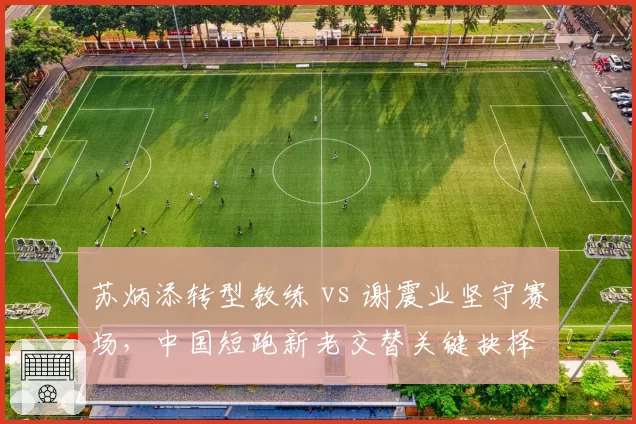 苏炳添转型教练 vs 谢震业坚守赛场，中国短跑新老交替关键抉择