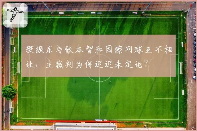 樊振东与张本智和因擦网球互不相让，主裁判为何迟迟未定论？