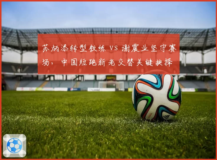 苏炳添转型教练 vs 谢震业坚守赛场，中国短跑新老交替关键抉择